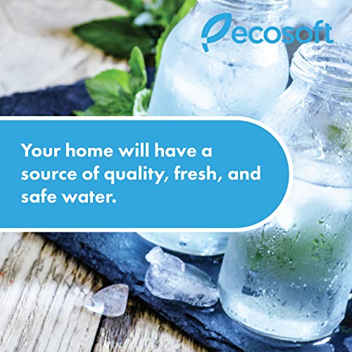 Ecosoft 3-stufiges Trinkwasser-Filtrationssystem unter der Spüle, hohe Kapazität, inkl. Sediment, 2 x CTO-Kohleblockfilter mit Küchenarmatur - 5