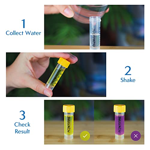 AquaVial Wassertest Schnelltest für Trinkwasser - 2er Pack auf E.coli BZW. Coliforme Bakterien Nachweis | Hochempfindlicher Wasserqualität-Tester für Brunnen- und Leitungswasser für Heimgebrauch - 3